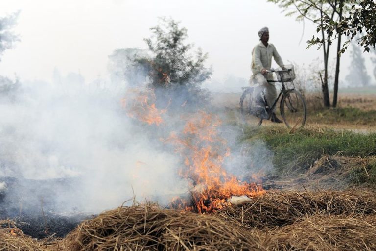 Stubble burning is considered as one of the major reasons behind high air pollution in Delhi in winters. Photo by Neil Palmer/Flickr.