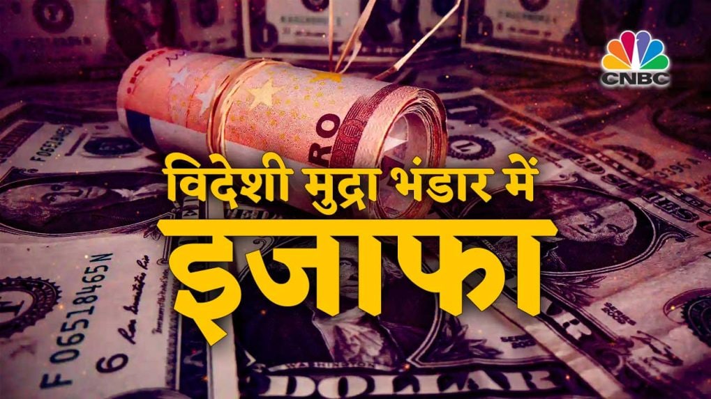 मंदी की आहट के बीच अच्छी खबर, 2 महीने बाद भारत के विदेशी मुद्रा भंडार में 20 करोड़ डॉलर की बढ़त