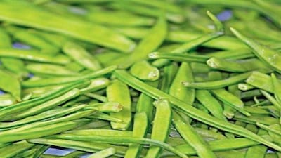 14-Year-Old Guar Seed Sells for ₹4700/Quintal Amid Price Surge