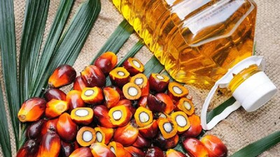 भारत का पाम तेल आयात 8 महीने के निचले स्तर पर, कीमतों में कम हुई हलचल.