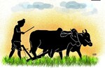 खाद को लेकर आई बड़ी खबर-सरकार ने किसानों के हित में दिया नया आदेश