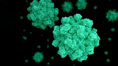 virus