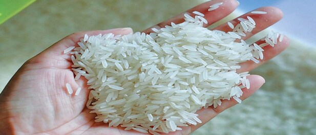 अप्रैल- दिसंबर में चावल का एक्सपोर्ट 7% बढ़कर 132 लाख टन, बासमती चावल का निर्यात 17% बढ़ा