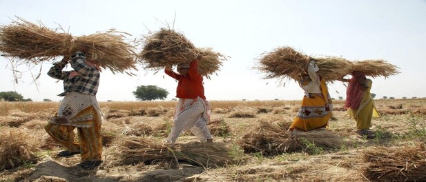 किसानों को राहत: सरकार ने राज्यों को जल्द गेहूं खरीद की अनुमति दी