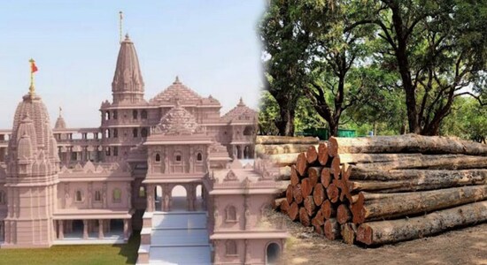 Ayodhya Ram Mandir: राम मंदिर के लिए होगा इन लकड़ियों का इस्तेमाल, जानें कहां से आएंगी, देखिए Photos