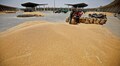 'घरेलू आपूर्ति बनाए रखने के लिए भारत को गेहूं निर्यात पर जारी रखना होगा प्रतिबंध'