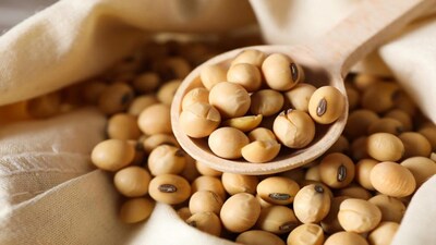 China's Soybean Production Strong, Imports to Be Cut; US Trade Improves