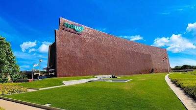 zydus 