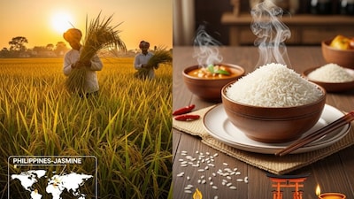 भारत में कई जगह लोग “धान” और “चावल” को एक ही समझते हैं, लेकिन असल में धान वो होता है जो खेत से कटकर आता है, और चावल वो जो भूसी हटाने के बाद थाली में पहुंचता है.दुनिया का सबसे महंगा चावल “फिलीपीन-जैस्मीन” है, जबकि सबसे लोकप्रिय “बासमती”.जापान में चावल को “देवताओं का भोजन” माना जाता है, वहीं भारत में इसे “लक्ष्मी का प्रतीक” कहा गया है.