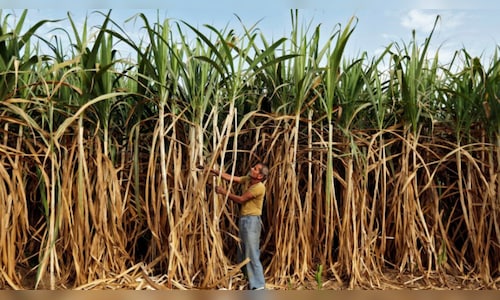 Indian Minister Advocates Green Energy Revolution in Sugar Industry