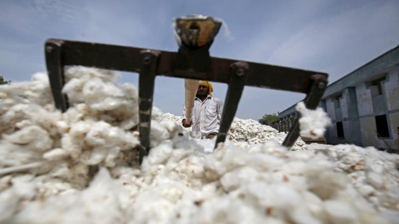 An employee works at a cotton processing unit in Kadi town, in the western Indian state of Gujarat
