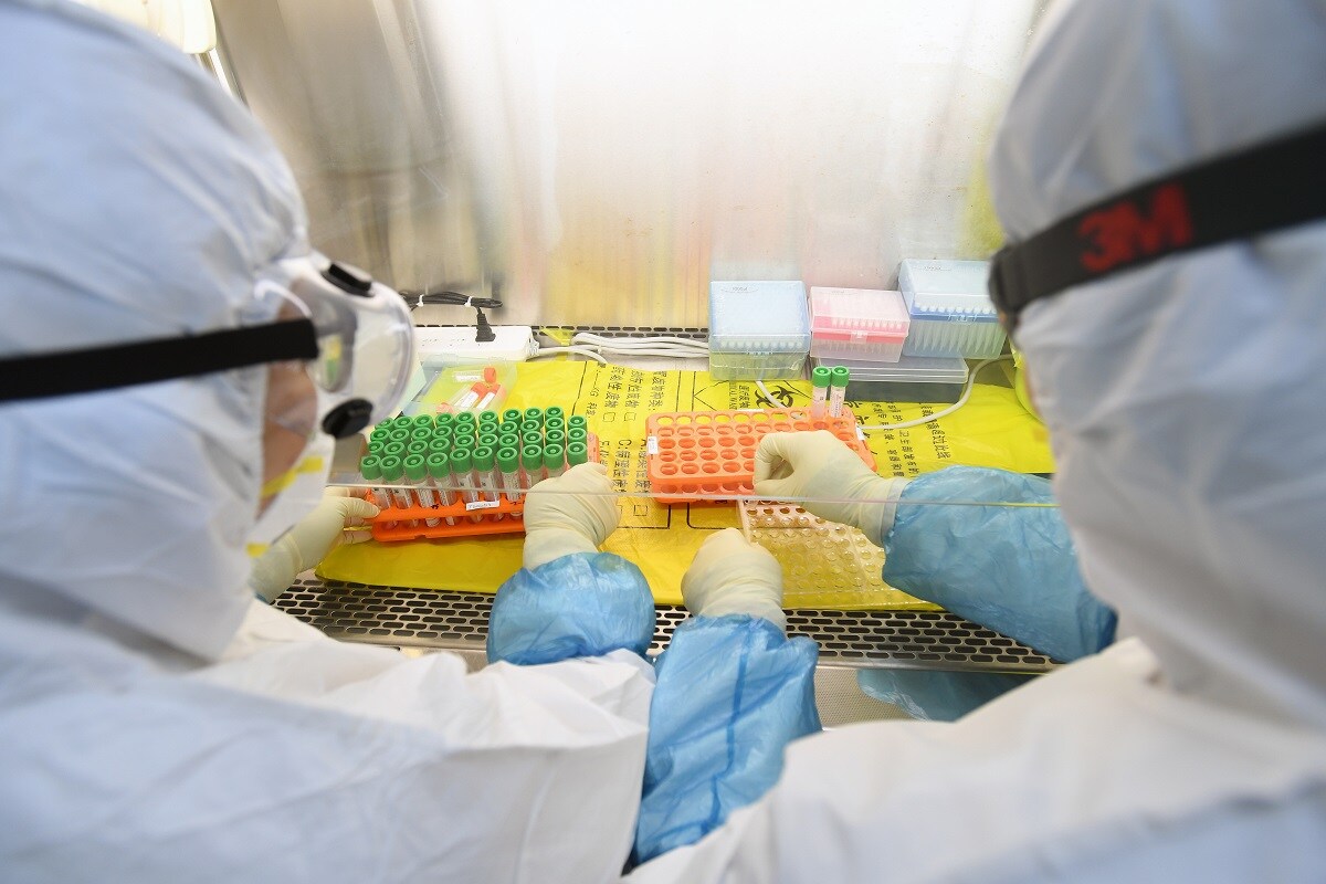 Workers in protective suits examine specimens inside a laboratory following an outbreak of the novel coronavirus in Wuhan, Hubei province, China February 6, 2020. Picture taken February 6, 2020. China Daily via REUTERS