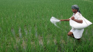 Fertiliser Stocks