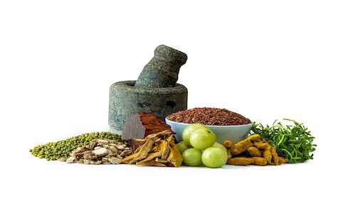 Himachal Aims to Become North India's Ayurveda, Wellness Hub