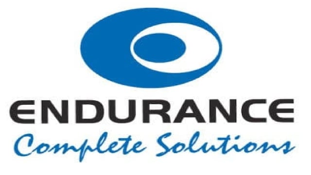 Endurance Technologies share price, top stocks