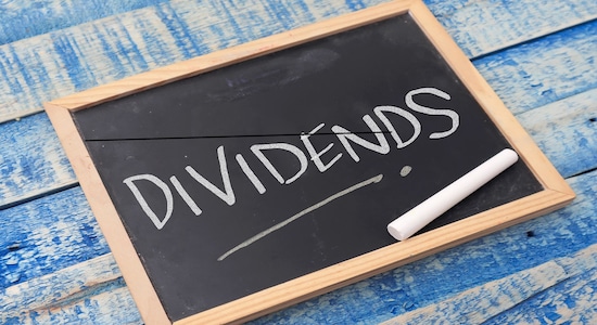 3M India dividend