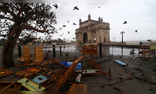 Mumbai Takes Flight Against Pigeon Feeding: Is Delhi Next?