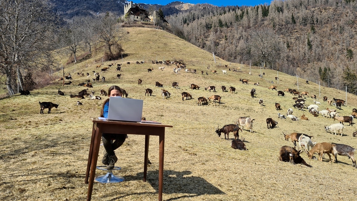 10-year-old Fiammetta attends her online lessons surrounded by her shepherd father's herd of goats in the mountains, while schools are closed due to coronavirus disease (COVID-19) restrictions, in Caldes, northern Italy, March 20, 2021. Picture taken March 20, 2021. Martina Valentini - Val di Sole press office/ Handout via REUTERS ATTENTION EDITORS - THIS IMAGE WAS PROVIDED BY A THIRD PARTY. TPX IMAGES OF THE DAY - RC2ZGM9HVKYL