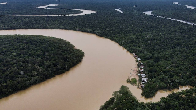 World Rainforest Day 2024: Date, history and significance - CNBC TV18