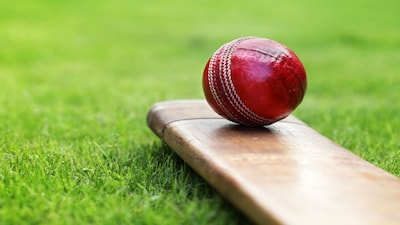 Cricket Shutterstock