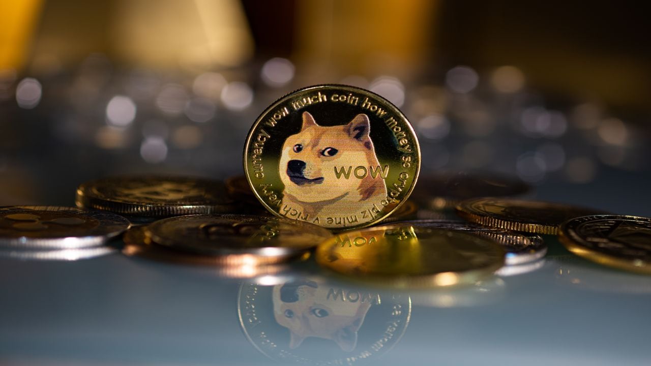 Doge to the Moon: Why This Meme Coin Might Just Surprise You