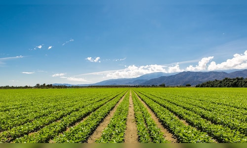 India’s Agri Stack coming soon: What is it all about - CNBC TV18