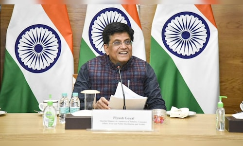 India to consider GST cut on handicrafts, continue imports to keep apples affordable