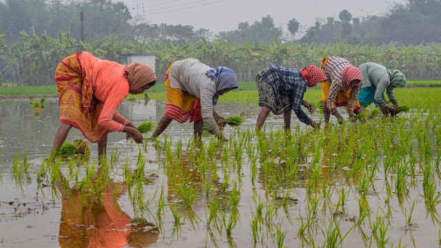 Farming-agriculture तेलंगाना बजट 2025 हाइलाइट्स: रेड्डी की सरकार शिक्षा के लिए of 23k करोड़, कृषि के लिए, 24k करोड़ देता है