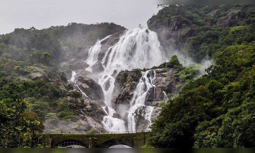 Goa Monsoon Tourism: Waterfalls Remain Open Despite Ban