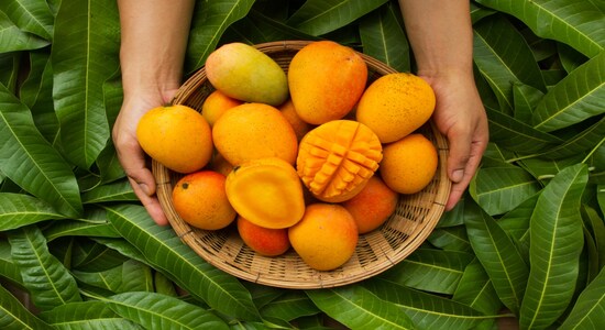 Alphonso to Langra, 10 famous mango varieties in India