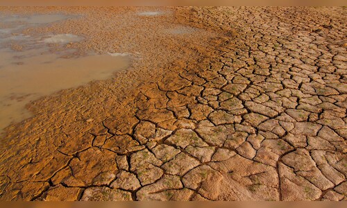 Madurai Water Body Dries Up, Raising Local Concerns