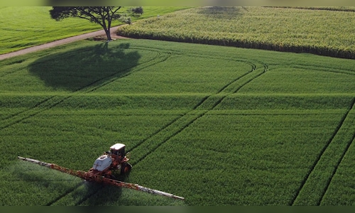 Indian farmers rush to plant summer crops as monsoon revives - CNBC TV18