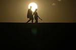 2023 was warmest year on record, say IMD, 2024 is going to be warmer