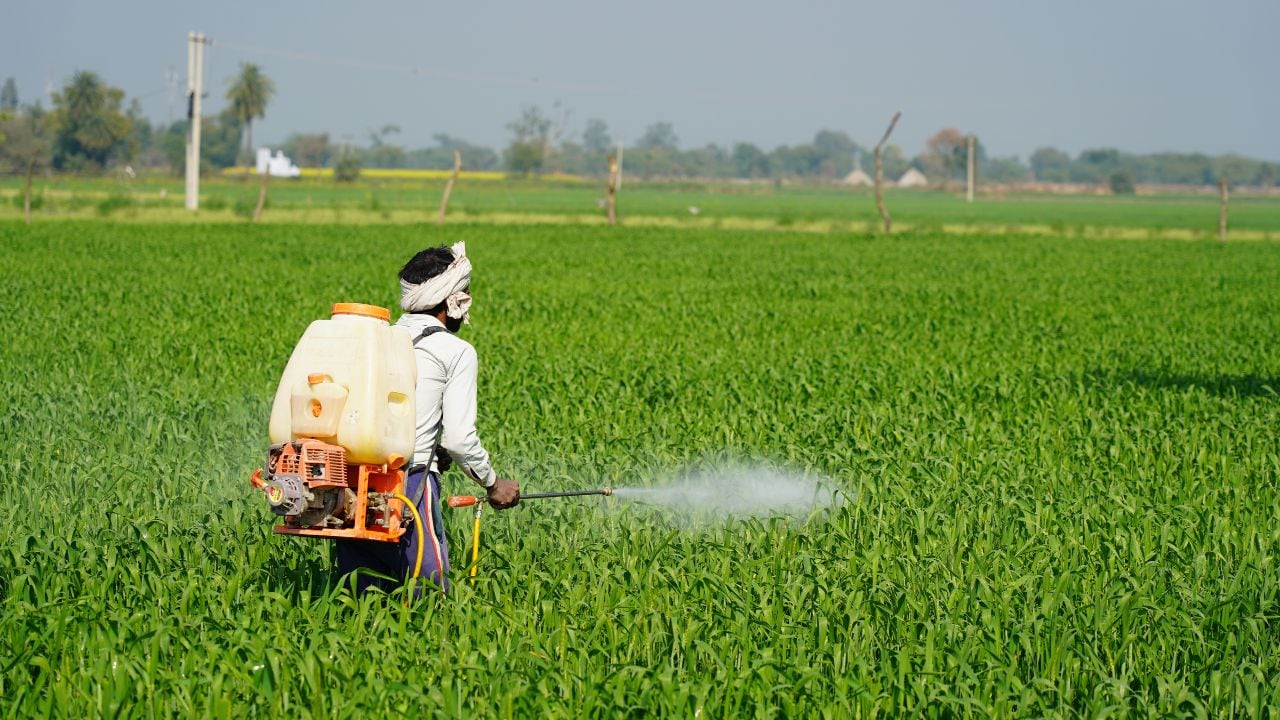 Insecticides India Q2 Results | Net profit rises 16% to ₹62 crore, revenue falls 10%