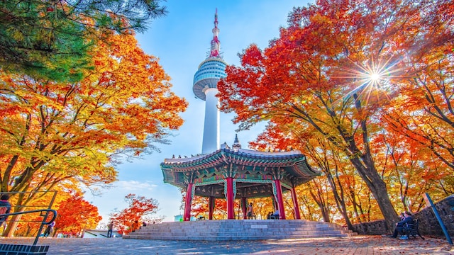 5. South Korea | South Korea has emerged as a trendy destination for younger Indian travellers, thanks to the global rise of K-pop and K-dramas. Seoul’s shopping districts, street food, and tech-savvy culture appeal to urban explorers, while places like Jeju Island offer natural beauty. Visa relaxations and increased flight connectivity have boosted demand this festive season.
