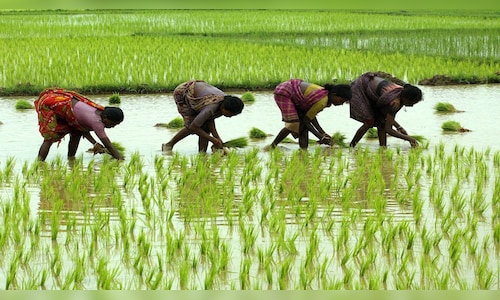 Farmers in Maharashtra grapple with economic hardships ahead of Lok Sabha elections - CNBC TV18