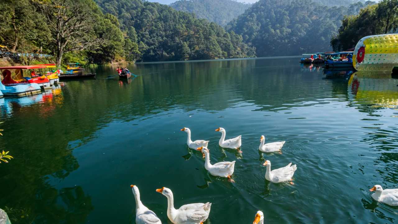 No 4. Dehradun | A well-known hill station, during the summer months, temperatures in Dehradun range between 20 and 32 degrees Celsius. People from Delhi frequently travel to the destination for its cool climate, sprawling gardens like Rajaji National Park, and historic landmarks such as the Robber's Cave and Tapkeshwar Temple.