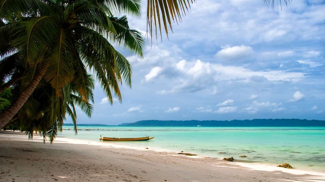 Whether immersing in the tranquility of nature or embarking on adventures in the ocean, a summer vacation to the Andaman and Nicobar Islands is a blissful journey into tropical serenity. In case you plan to visit the tropical paradise, an ideal stay with family would entail a 10-day trip and a tour of these 11 places, handpicked by the CNBC-TV18 Travel Desk.