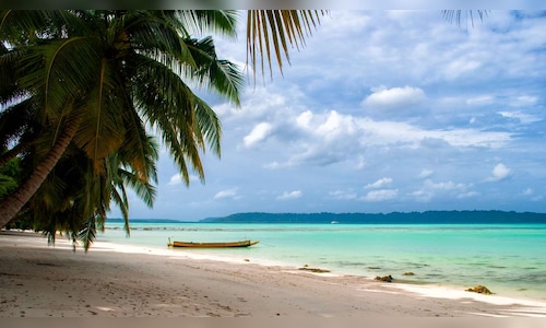 Nicobar Coconut, Andaman Karen Musley Rice get Geographical Indication ...
