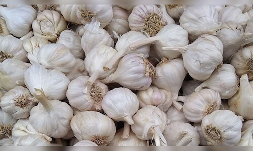 Science-Backed Health Benefits of Garlic