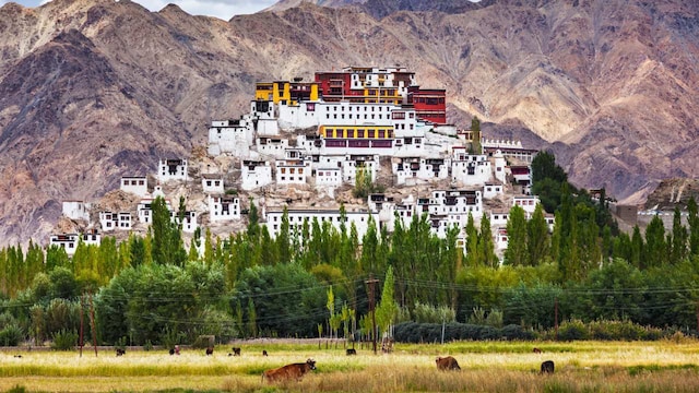 No 8. Ladakh | It is a popular destination for people fascinated by ever changing postcard perfect landscapes. The place is famous for cold desert terrain, Pangong Tso and Tso Moriri lakes and rich Buddhist culture. It is a haven for trekkers, bikers and nature lovers. No 8. Ladakh | It is a popular destination for people fascinated by ever changing postcard perfect landscapes. The place is famous for cold desert terrain, Pangong Tso and Tso Moriri lakes and rich Buddhist culture. It is a haven for trekkers, bikers and nature lovers.