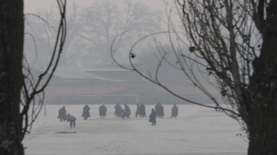 Srinagar: Young men play cricket at a ground covered with frost during a cold winter morning as intense cold wave grips Kashmir valley, in Srinagar, Friday, Dec. 15, 2023. (PTI Photo/S Irfan)(PTI12_15_2023_000089B)