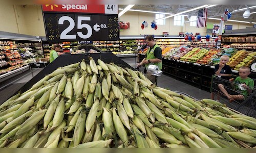 Advanta Seeds Acquires K-Adriatica Corn Assets, Eyes Expansion