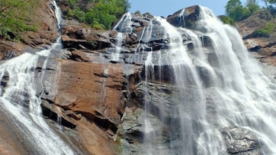 1. Tarabu waterfalls: Located along the Andhra Pradesh and Odisha border in Pedabayalu mandal of Alluri Sitharamaraju (ASR) district, this place has been witnessing a good number of youngsters from parts of the two states. It gives a stunning view of the waterfalls, though it is quite difficult to reach here due to the hilly terrain.