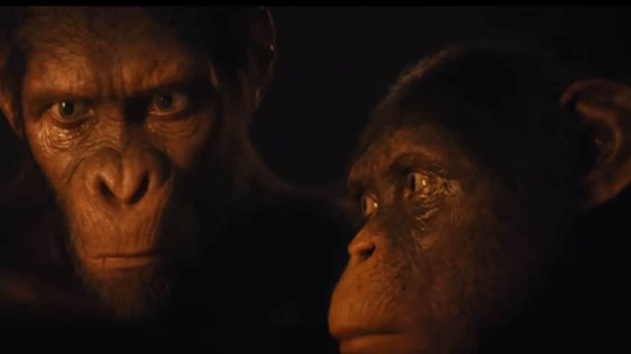 Kingdom of the Planet of the Apes./YouTube