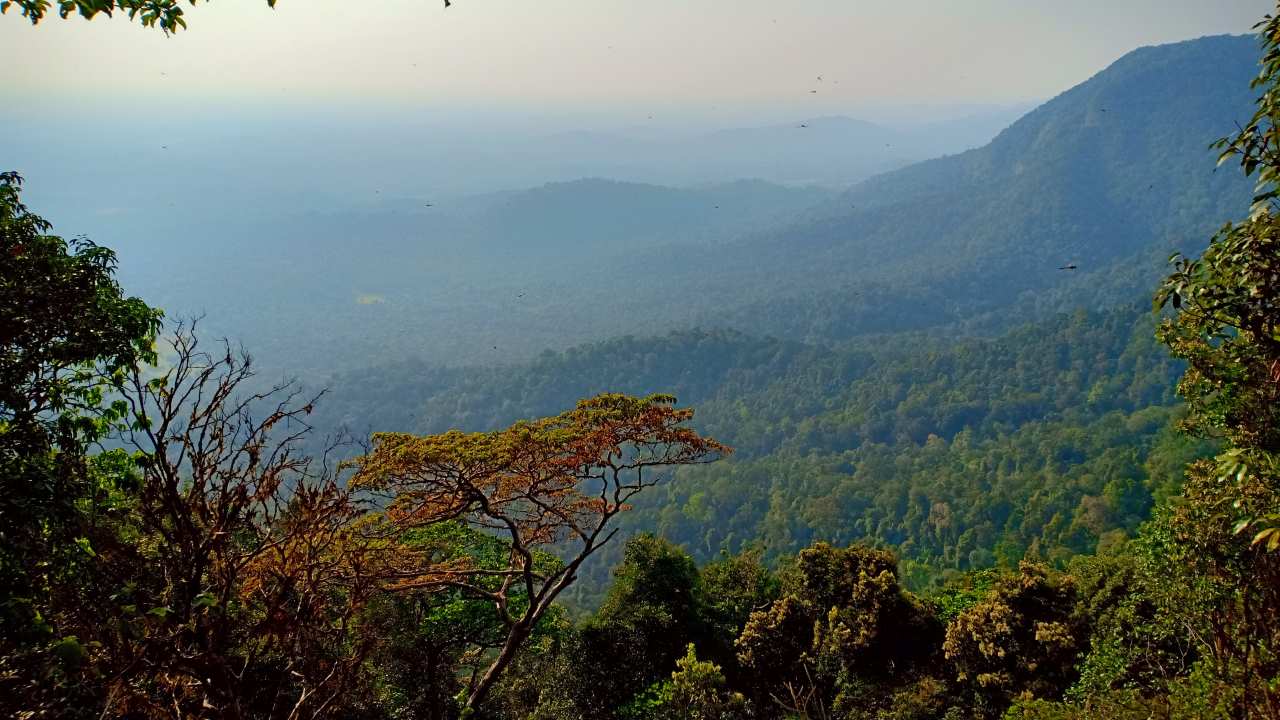 No 10. Agumbe, Karnataka | Agumbe is known as the 'Cherrapunji of the South' and situated in Thirthahalli taluka of Shivamogga district. The misty forests, gushing waterfalls, and cool climate make it a haven for nature enthusiasts. The top tourist attractions here are Agumbe Sunset View Point, Agumbe Ghat and more. (Image: shutterstock)