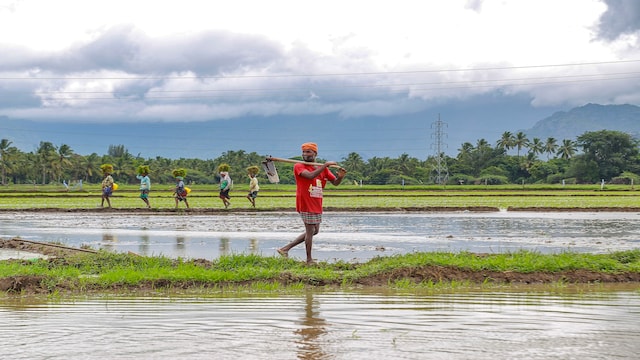 Budget 2025 India may raise farm allocation by over 15 to ₹1.73 lakh