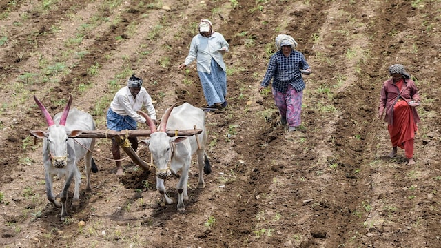 Budget 2025 Key priorities for agriculture Deloitte's view on India