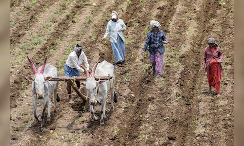 Farmer discontent in Marathwada could shift election dynamics in Maharashtra - CNBC TV18