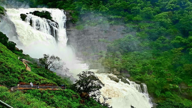 No 9. Chikmagalur, Karnataka | Chikmagalur is surrounded by the verdant Western Ghats. The place is known for its coffee plantations, mist-covered hills, and trekking trails. You can visit Mullayanagiri Peak or explore the wildlife safari and rafting in Bhadra Wildlife Sanctuary. (Image: Shutterstock) No 9. Chikmagalur, Karnataka | Chikmagalur is surrounded by the verdant Western Ghats. The place is known for its coffee plantations, mist-covered hills, and trekking trails. You can visit Mullayanagiri Peak or explore the wildlife safari and rafting in Bhadra Wildlife Sanctuary. (Image: Shutterstock)